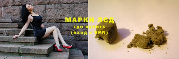 прущие грибы Балабаново