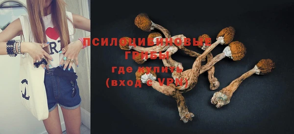 спайс Беломорск