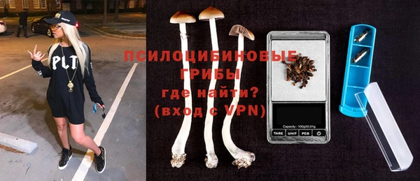 прущие грибы Балабаново