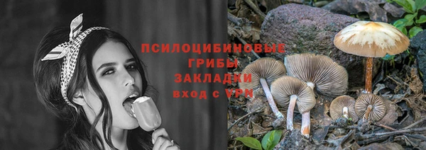 прущие грибы Балабаново